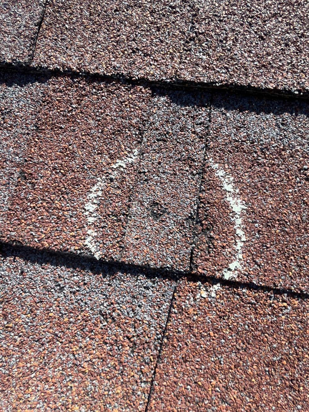 Expert Roofing Assessment in Denver CO image